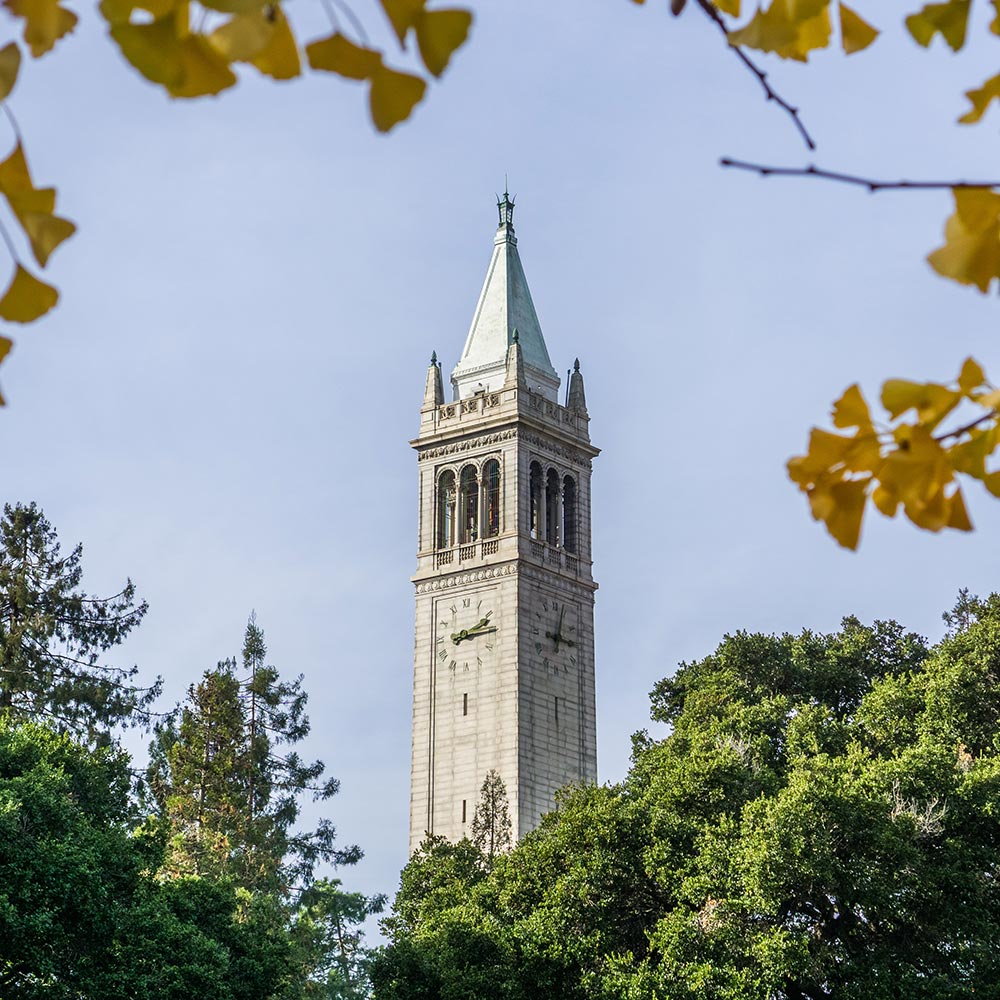 View of the Campanile on the U C Berkeley campus. The Campanile is framed by trees in this photo.